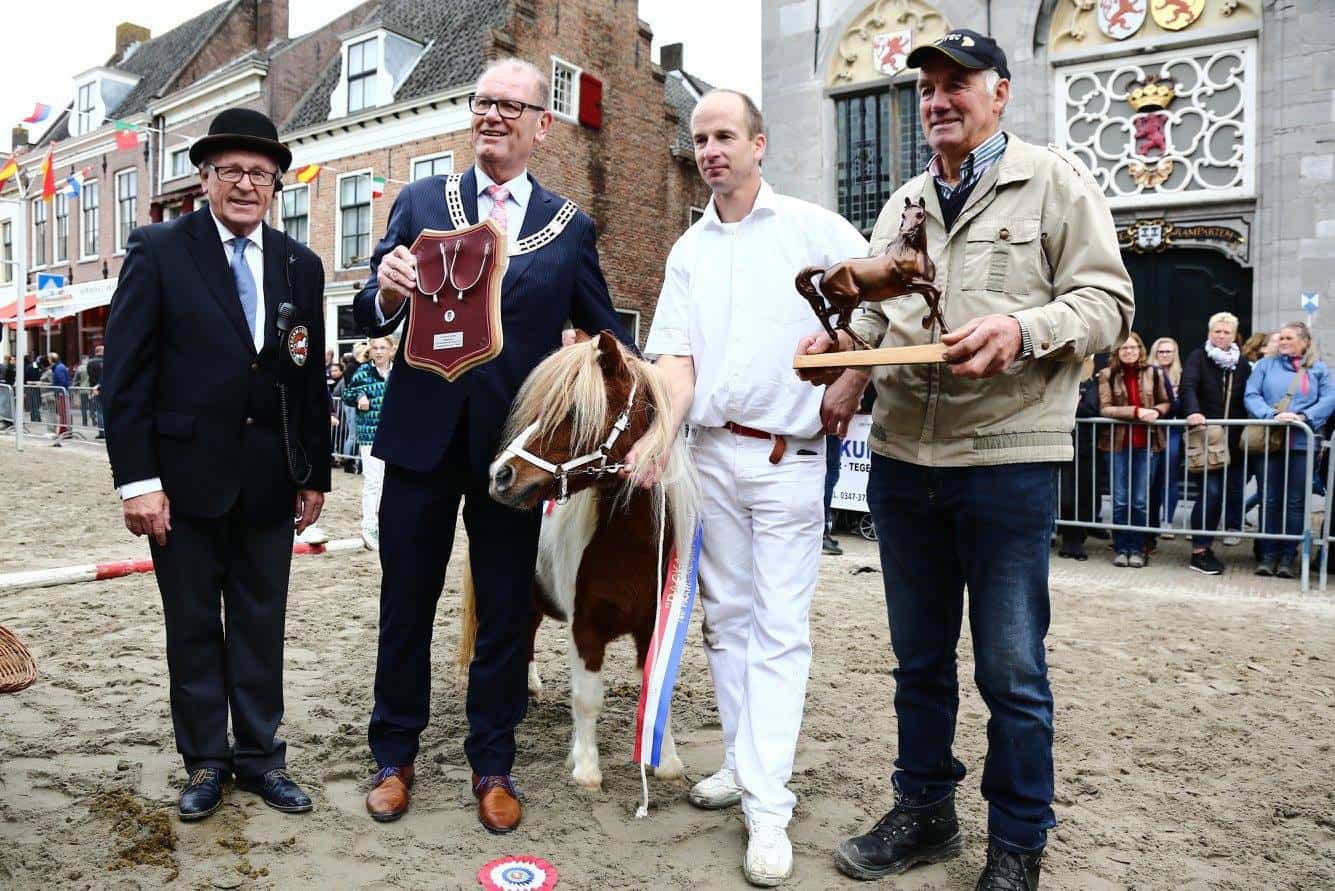 Sluiseiland sponsort Paardenmarkt